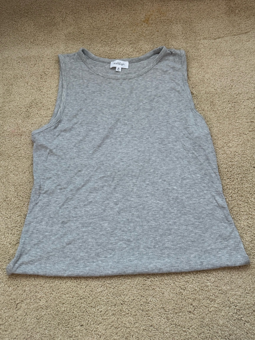 Gray Sleeveless Bodysuit 2X